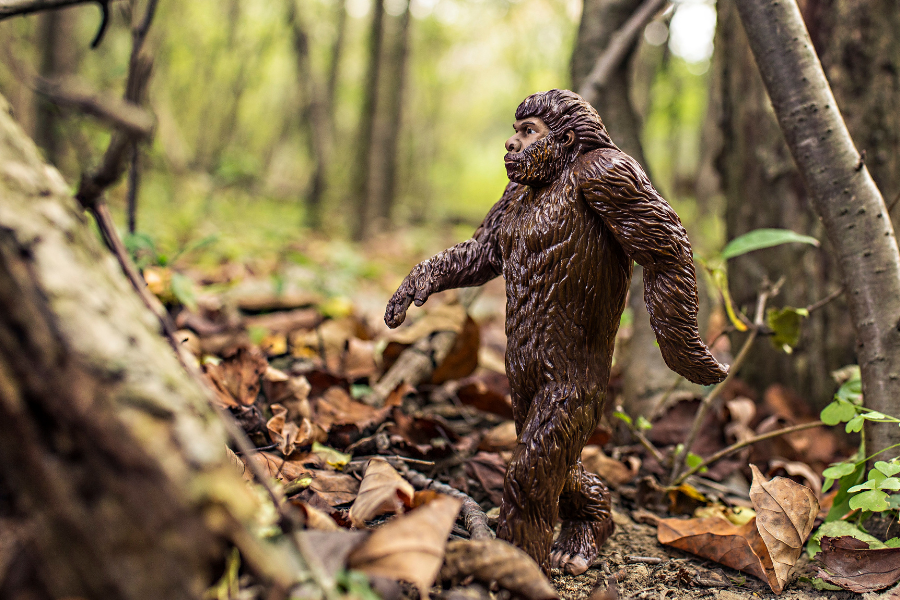 A figurine of Big Foot in the woods.